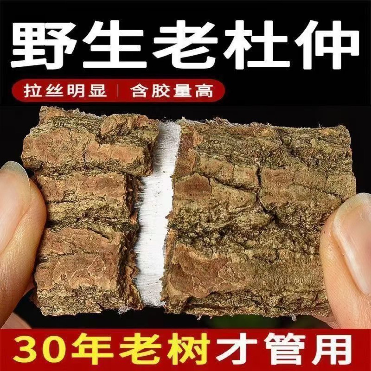 Wild Eucommia Bark (Eucommia ulmoides) — Unsulfured Old-Tree Thick Bark for Tea & Wine - Image 2