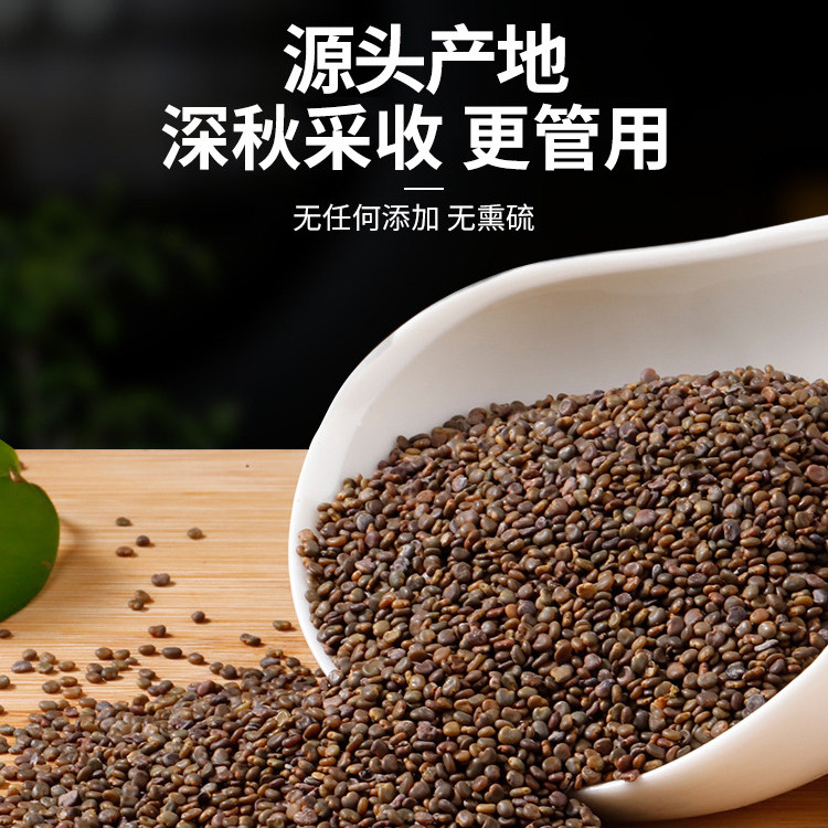 Wild Grade Sha Yuan Zi 250g Flatleaf Milkvetch Seed Astragalus complanatus TCM Herbal Tea Ingredient - Image 2