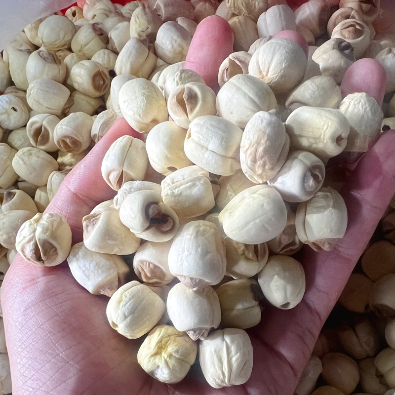 Dried Lotus Seeds Core Removed Jianning Origin 5 Jin Bulk Edible Herb - Image 4
