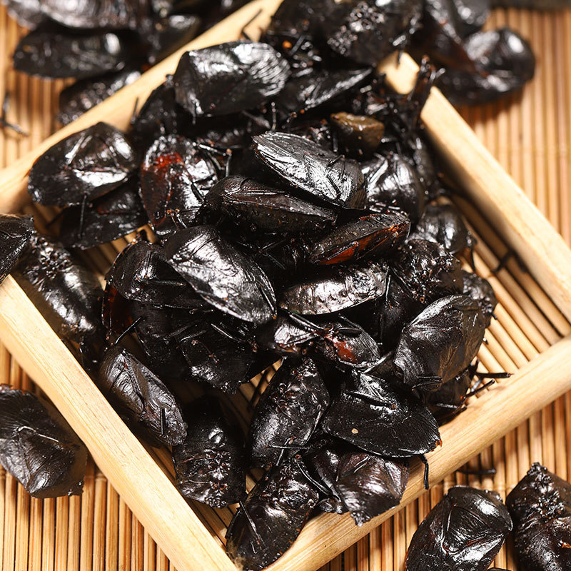 Jiu Xiang Chong (Aspongopus chinensis) — Dried TCM Herb, 500g Powder - Image 2