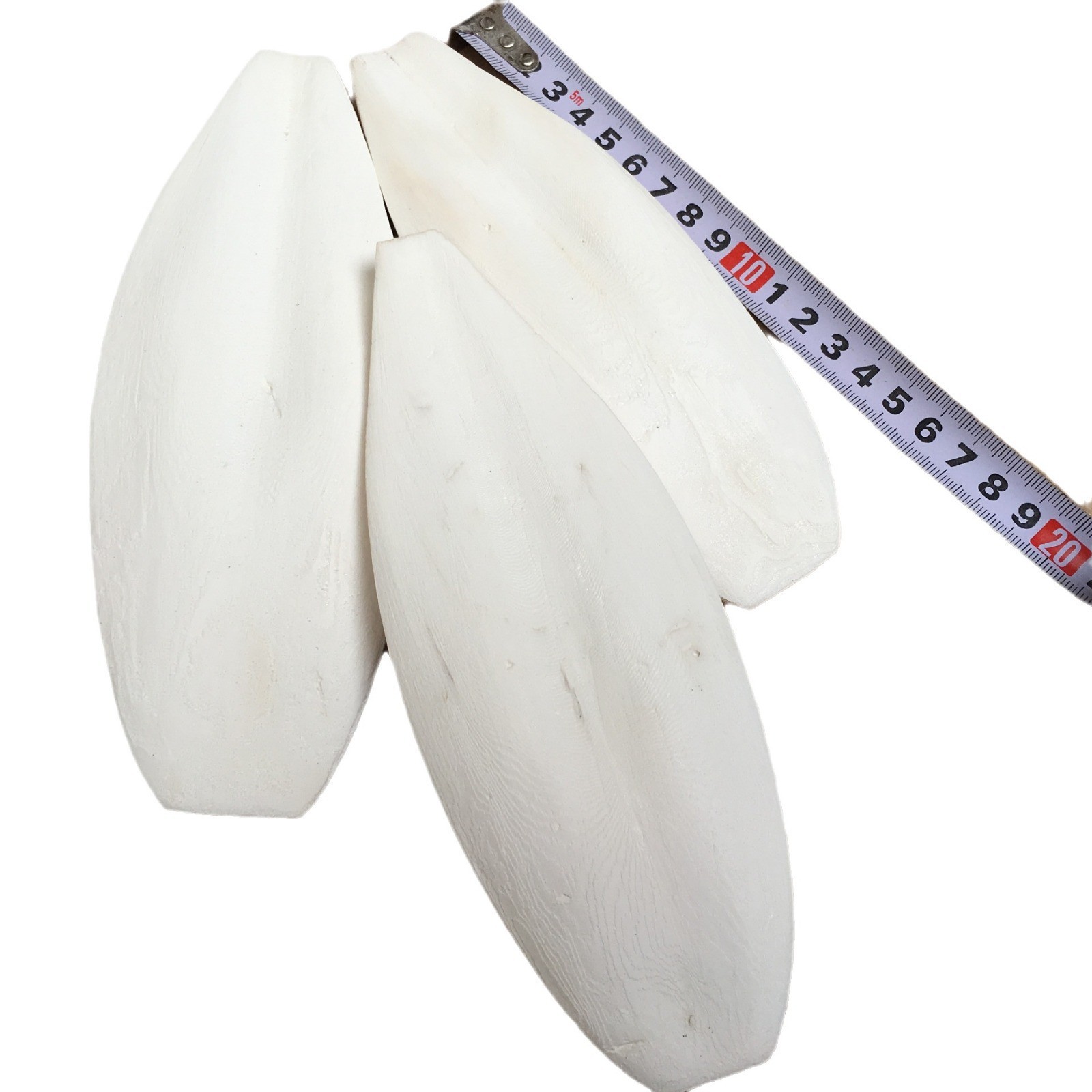 Cuttlebone for Pets Hai Piao Xiao 海螵蛸 Natural Bird Beak Toy and Reptile Grinding Chew 2 Bones with 3 Rattan Balls - Image 5