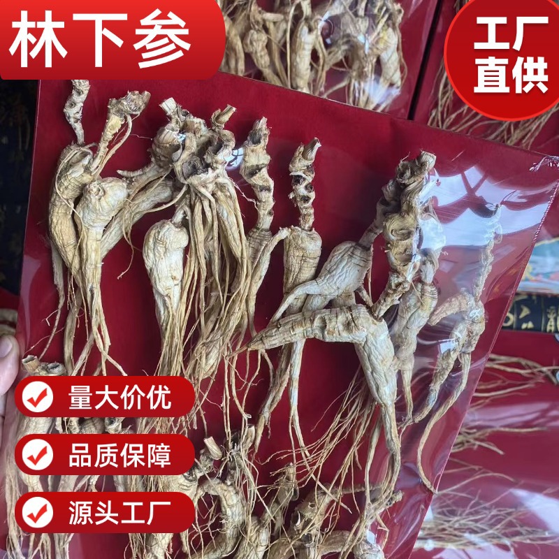 Wild-Simulated Ginseng Root 100g Sun-Dried Jilin Forest Grown 18-20 Year - Image 2