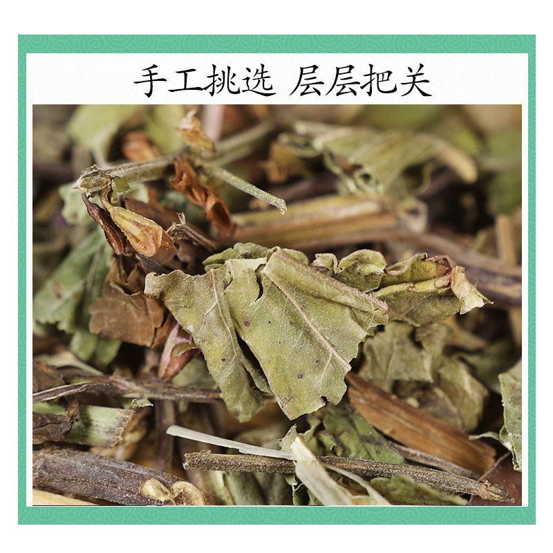Shi Jian Chuan Dried Herb 500g Salvia chinensis Whole Plant Traditional TCM Herbal Decoction Ingredient - Image 3