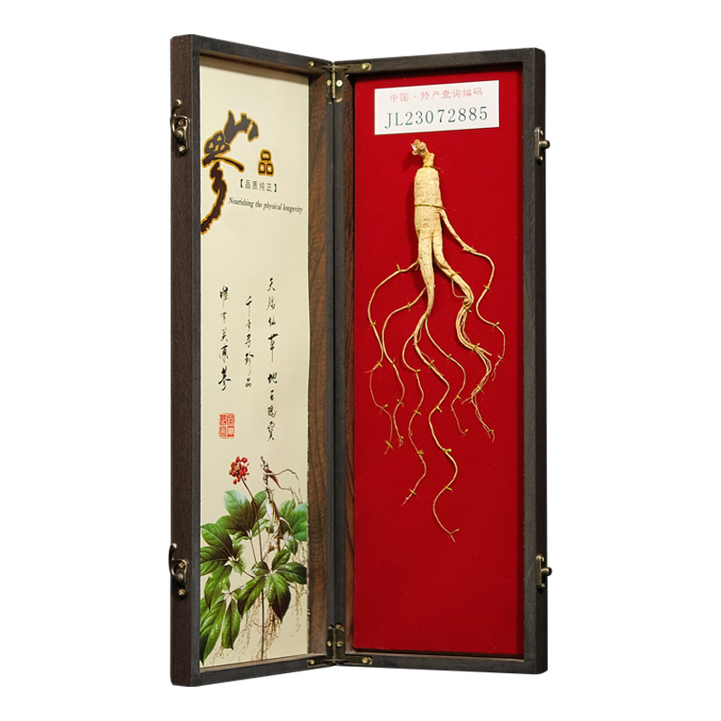 Wild Forest Ginseng Gift Box 40cm Wooden Presentation Case with Certificate Jilin Changbai Mountain - Image 3