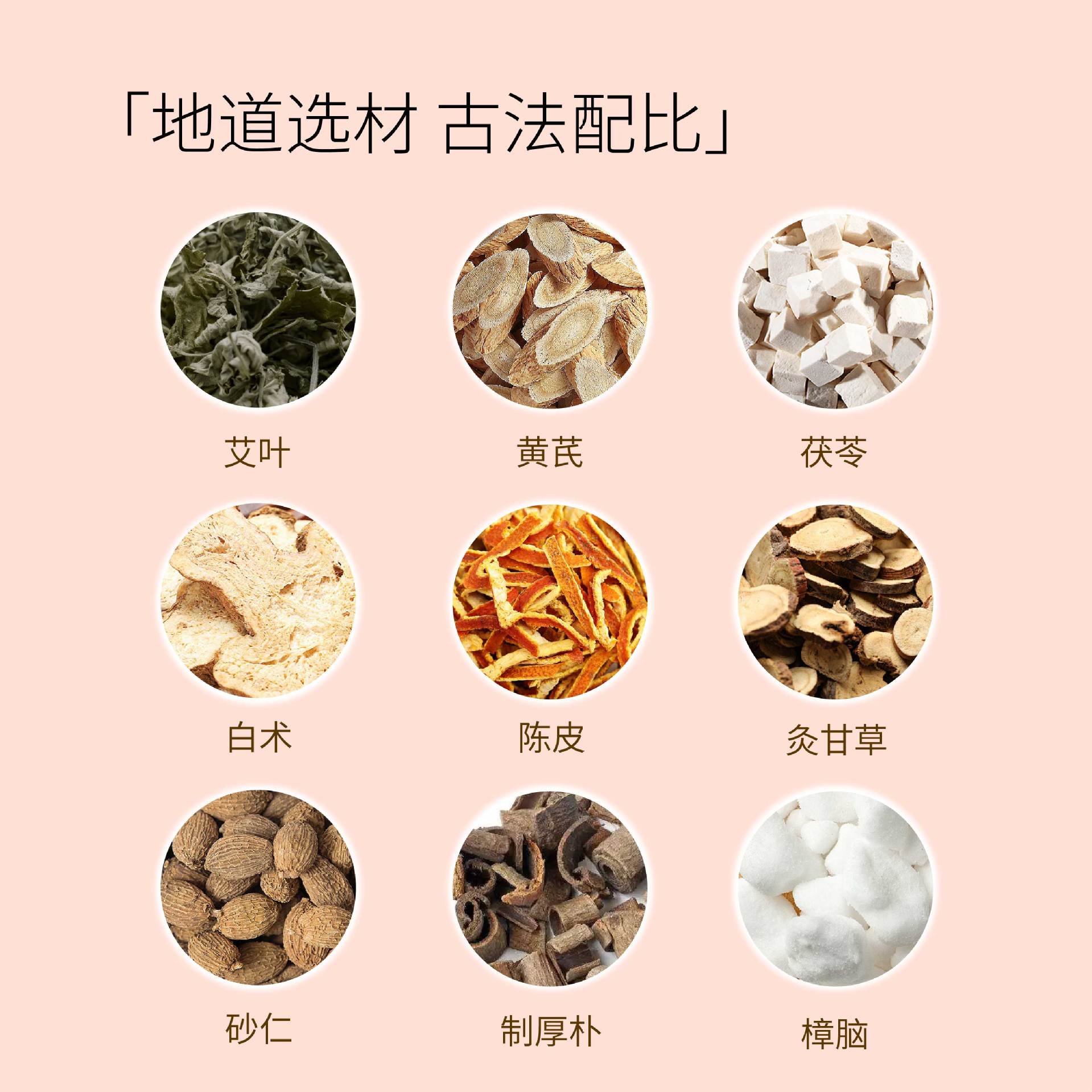Ear Acupoint Mugwort Pressure Patches 10 Patches per Box Nanyang Mugwort External Ear Point Application - Image 3