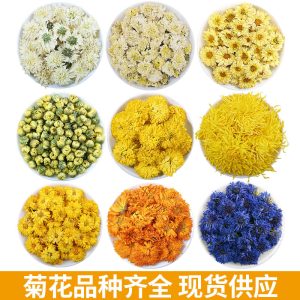Chrysanthemum Flower Collection (Chrysanthemum morifolium) — Dried Herbal Tea Assortment