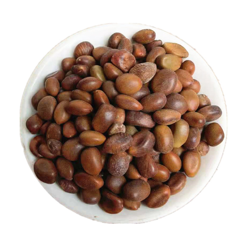 Dried Chinese Honeylocust Seeds Zao Jiao Zi Bulk Raw Herb Traditional Decoction Ingredient Sold by the Jin - Image 5