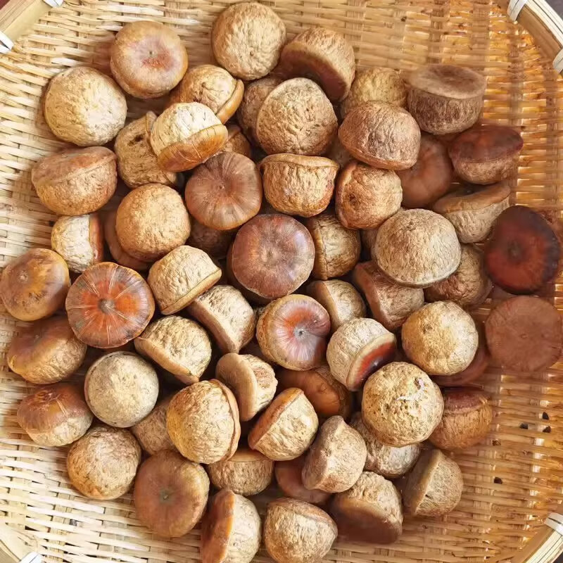 Feng Liu Guo Dried Fengliu Fruit 500g TCM Herbal Material for Infusion and Decoction - Image 2