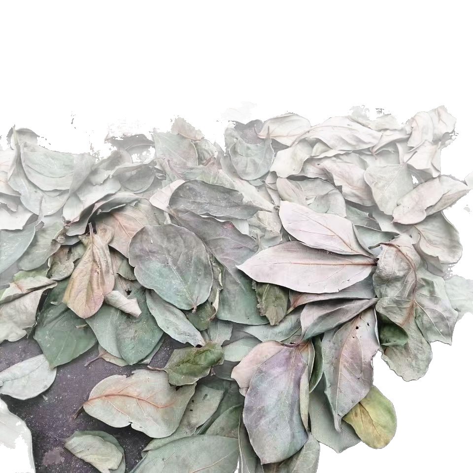 Dried Persimmon Leaf Shi Ye 500g Sulfur-Free Sun-Dried Herbal Tea Leaves - Image 5