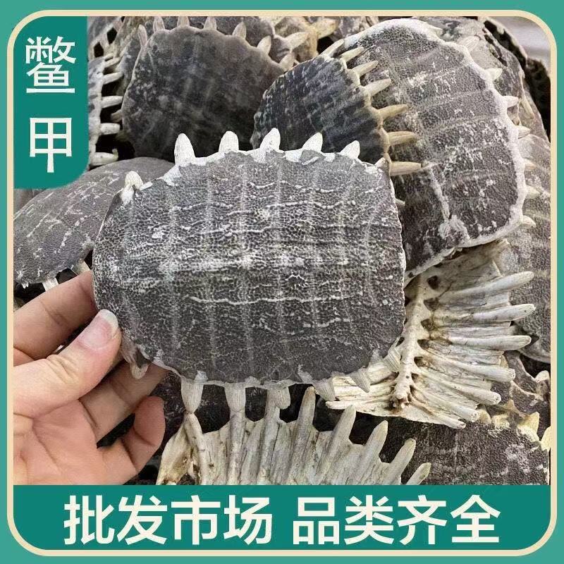 Bie Jia (Trionyx sinensis) Dried Turtle Shell Pieces — Traditional Chinese Herb, 500g - Image 2