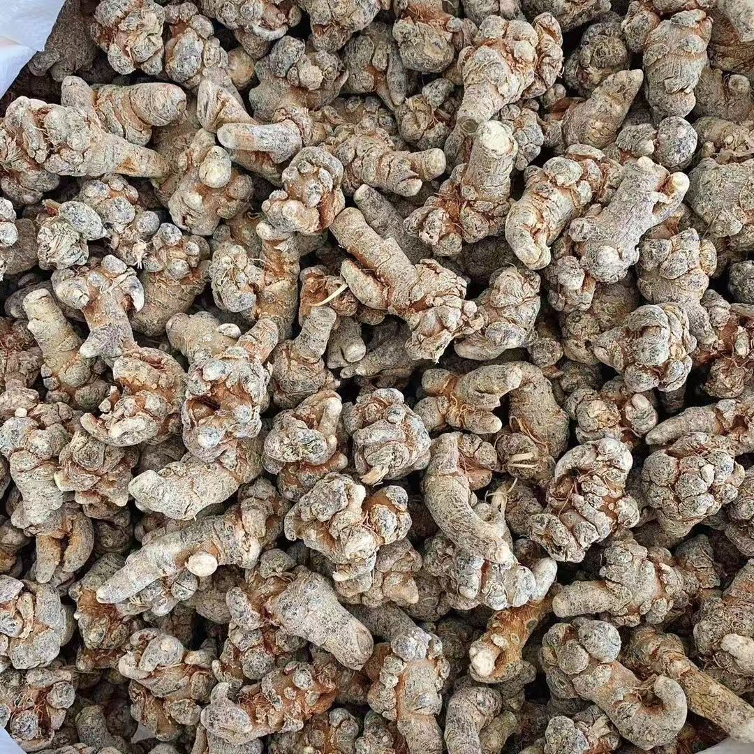 Yunnan Wenshan San Qi Notoginseng Slices 500g Sun Dried Sulfur Free Panax notoginseng Root - Image 2
