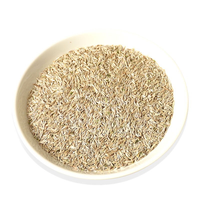 Bai Ju Sheng Seeds (Lactuca sativa) — Dried Food-Herb Lettuce Seeds for Tea & Soup - Image 5