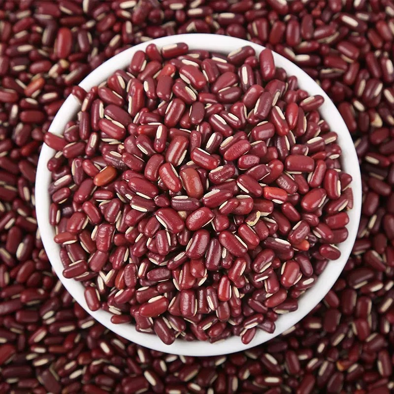 Adzuki Bean Chi Xiao Dou 500g Dried Vigna angularis Whole Beans for Soup Congee and Herbal Blends - Image 3