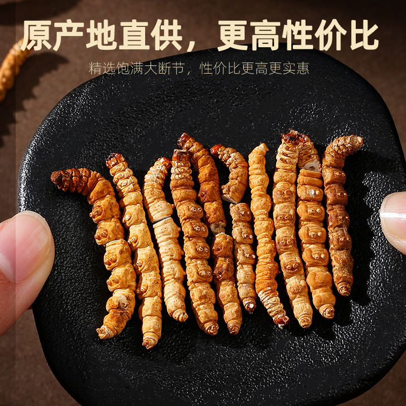 Dried Cordyceps Broken Stems 20g Jar Chinese Herbal Cordyceps sinensis for Cooking - Image 5