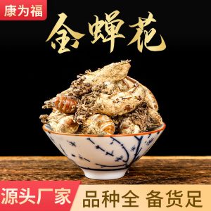 Jin Chan Hua (Cordyceps cicadae) — Dried Cicada Flower Fungus, Food Herb for Soups & Teas