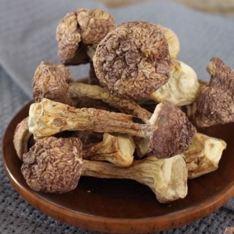 Ji Song Rong (Agaricus blazei) Dried Mushroom — Yunnan Soup Ingredient, 500g - Image 3