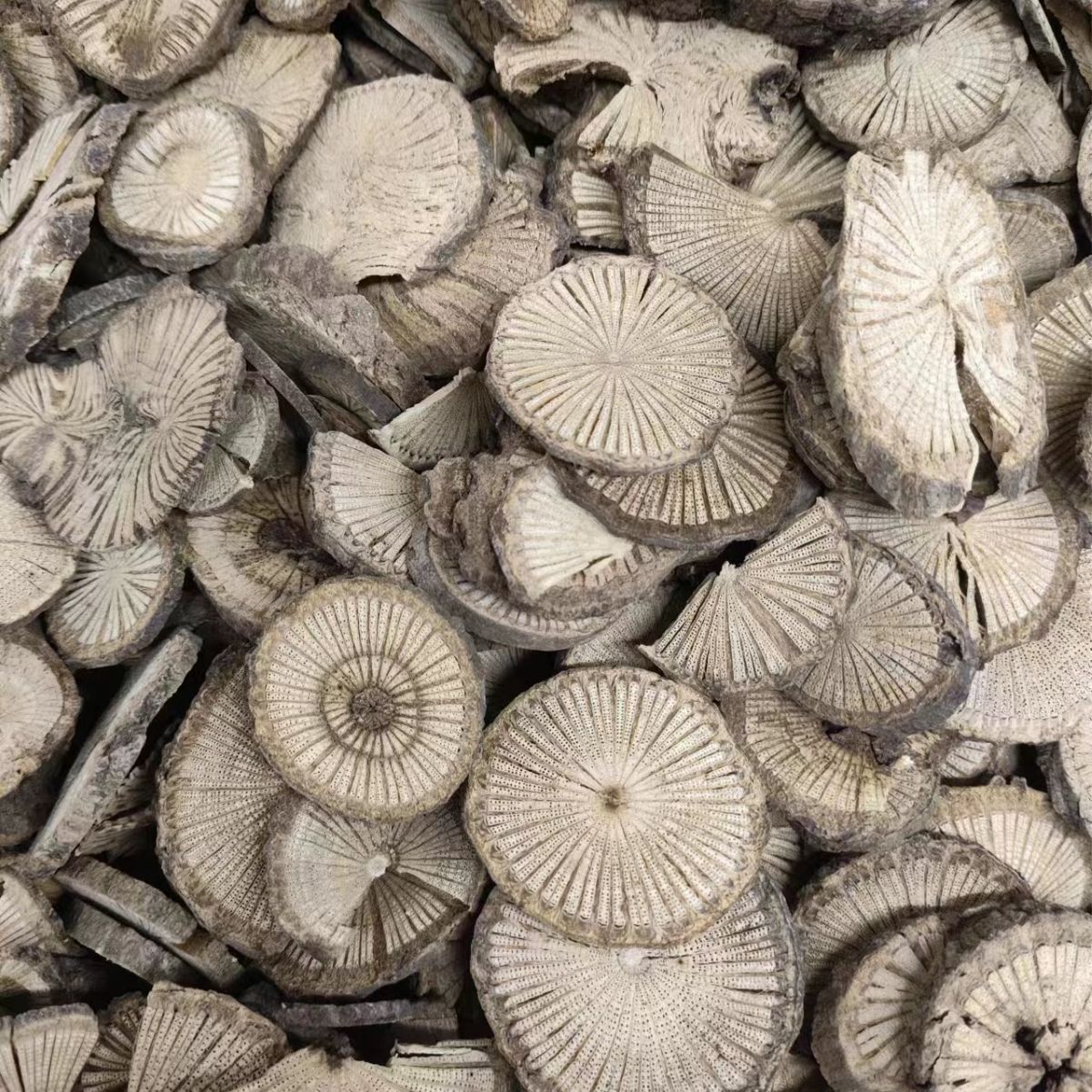 Qing Feng Teng (Sinomenium acutum) — Dried Herbal Stem for Decoction & Tea, 500g - Image 4
