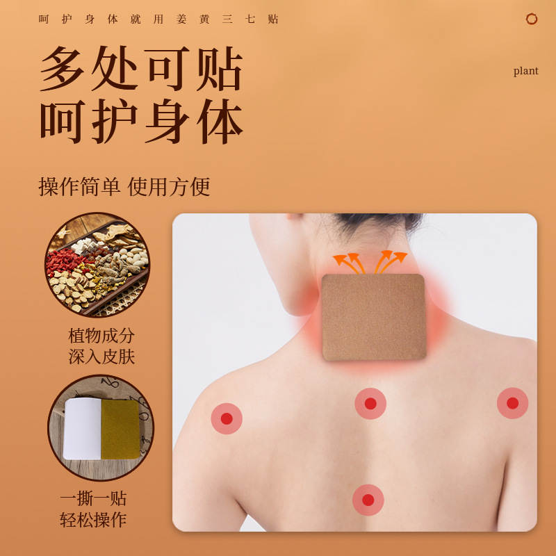 Turmeric Sanqi Herbal Patch with Ginger and Mugwort Warming Topical Support for Knees Neck and Shoulders 20 Patches per Box - Image 2