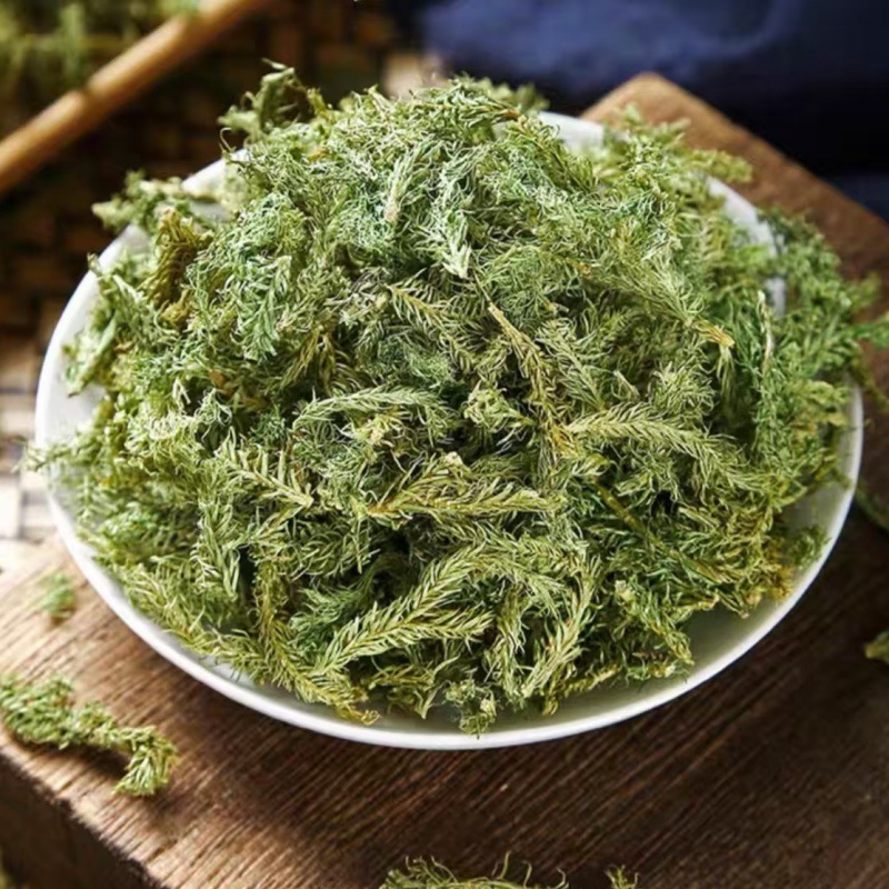 Shen Jin Cao (Lycopodium clavatum) — Dried Clubmoss Herb for Foot Soaks & Herbal Wine - Image 2