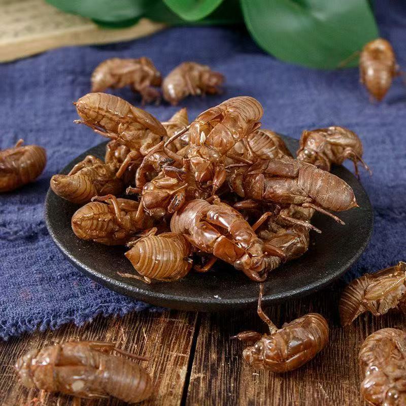 Cicada Slough Chan Tui 500g Dried Whole Shells Traditional Chinese Herb for Decoction - Image 2