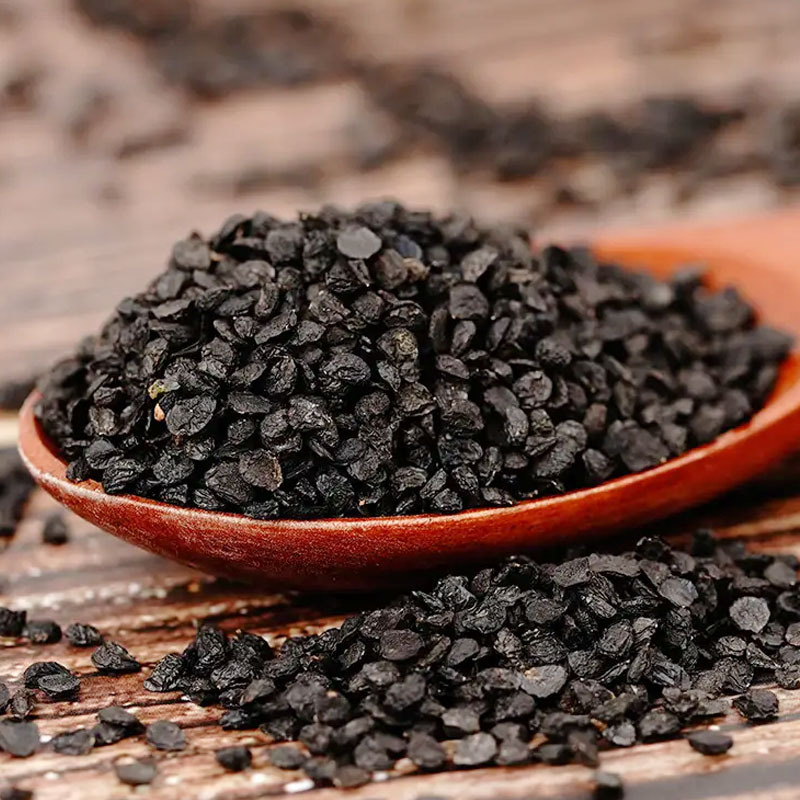 Cong Zi (Allium fistulosum Seeds) — Dried Welsh Onion Seed, Food Herb for Decoction & Powder - Image 4