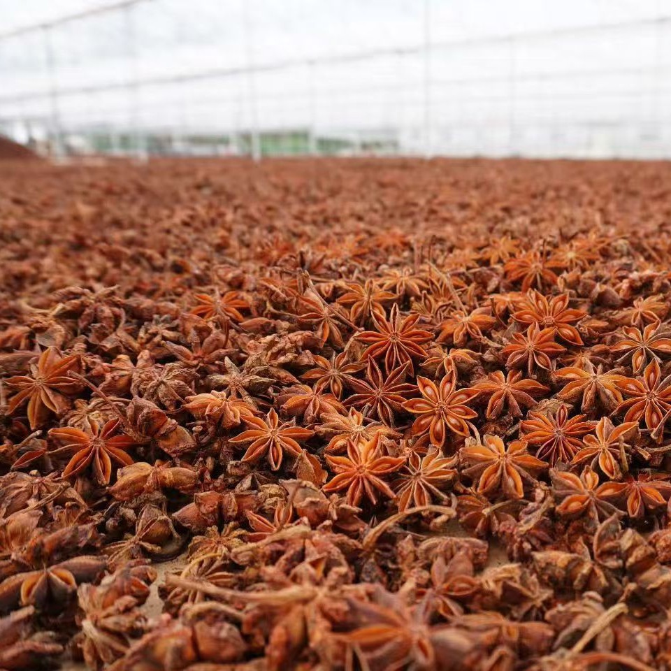 Guangxi Star Anise Ba Jiao Whole Dried Pods Sun Dried Culinary Spice 60g - Image 2