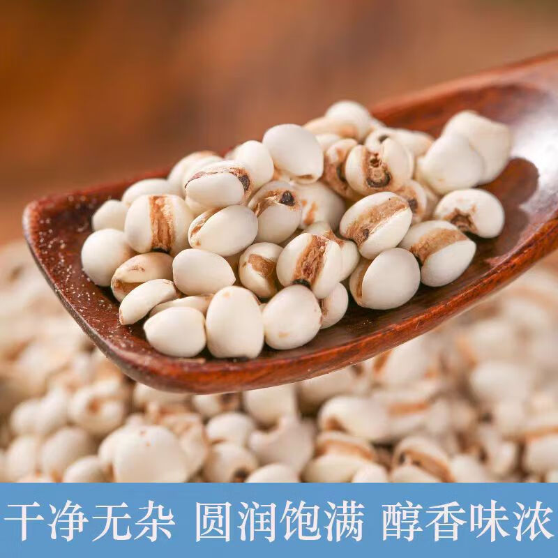 Coix Seed Yi Yi Ren 500g Dried Job's Tears Whole Grains for Soup Congee and Herbal Tea - Image 2