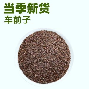 Plantain Seed (Plantago asiatica) — Dried Che Qian Zi Food Herb, 500g