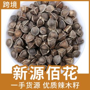 Moringa Seeds (Moringa oleifera) — Dried Herbal Seeds, 500g Food-Grade Bulk Supply