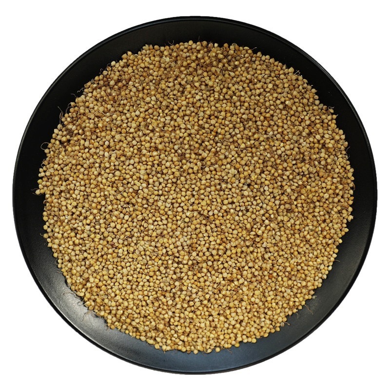 Dried Gu Ya Sprouted Rice Grain for Herbal Tea Soup and Daily Decoction 500g - Image 5