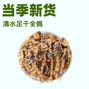 Quan Xie (Scorpion, Buthus martensii) — Dried Whole Scorpion, Food-Grade Herb for Decoction