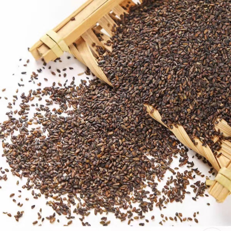 Plantain Seed (Plantago asiatica) — Dried Che Qian Zi Food Herb, 500g - Image 4