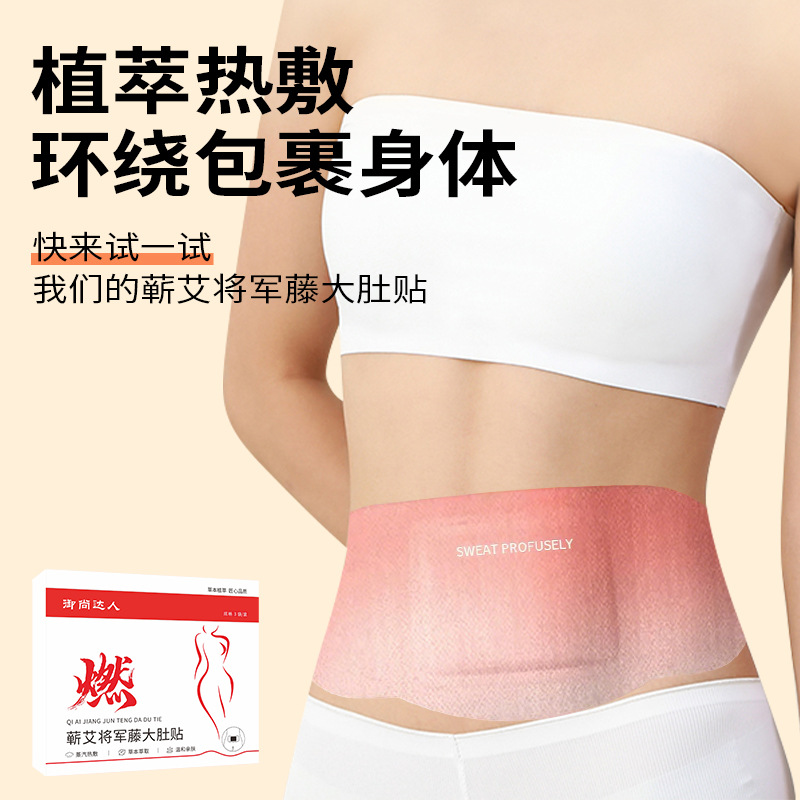 Qichun Mugwort Belly Button Patch Herbal Warm Compress Navel Patch for Traditional Body Care - Image 4