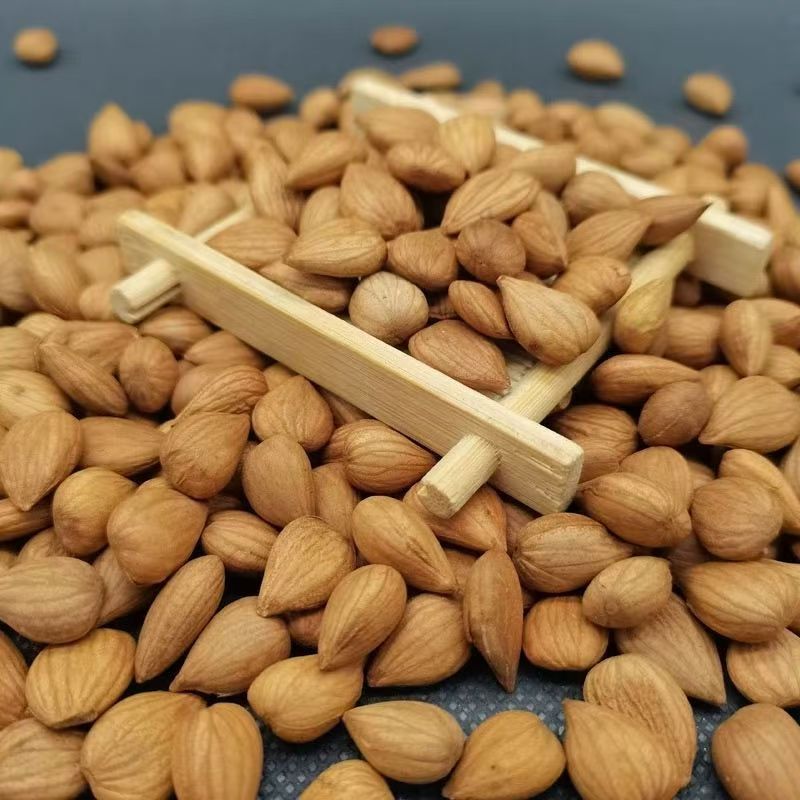 Apricot Kernel Powder Xing Ren 500g Natural Sun Dried Chinese Herbal Powder for Daily Wellness Drinks - Image 3