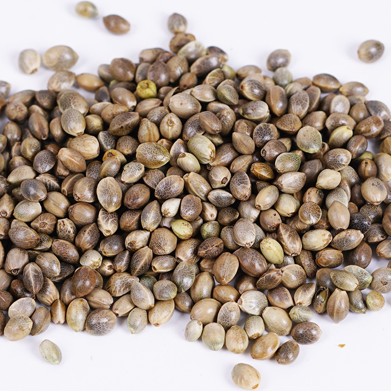 Hemp Seed (Cannabis sativa) — Huo Ma Ren Dried Food Herb, 500g - Image 3