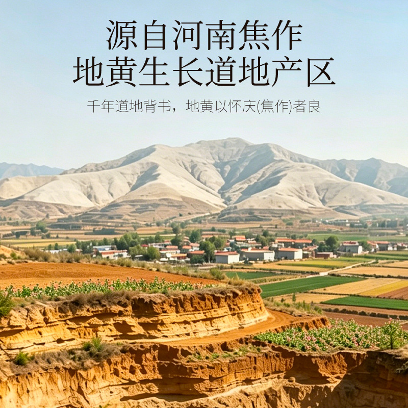 Nine Steam Nine Sun Dried Prepared Rehmannia Root Slices 250g Box Shu Di Huang for Herbal Decoction - Image 3