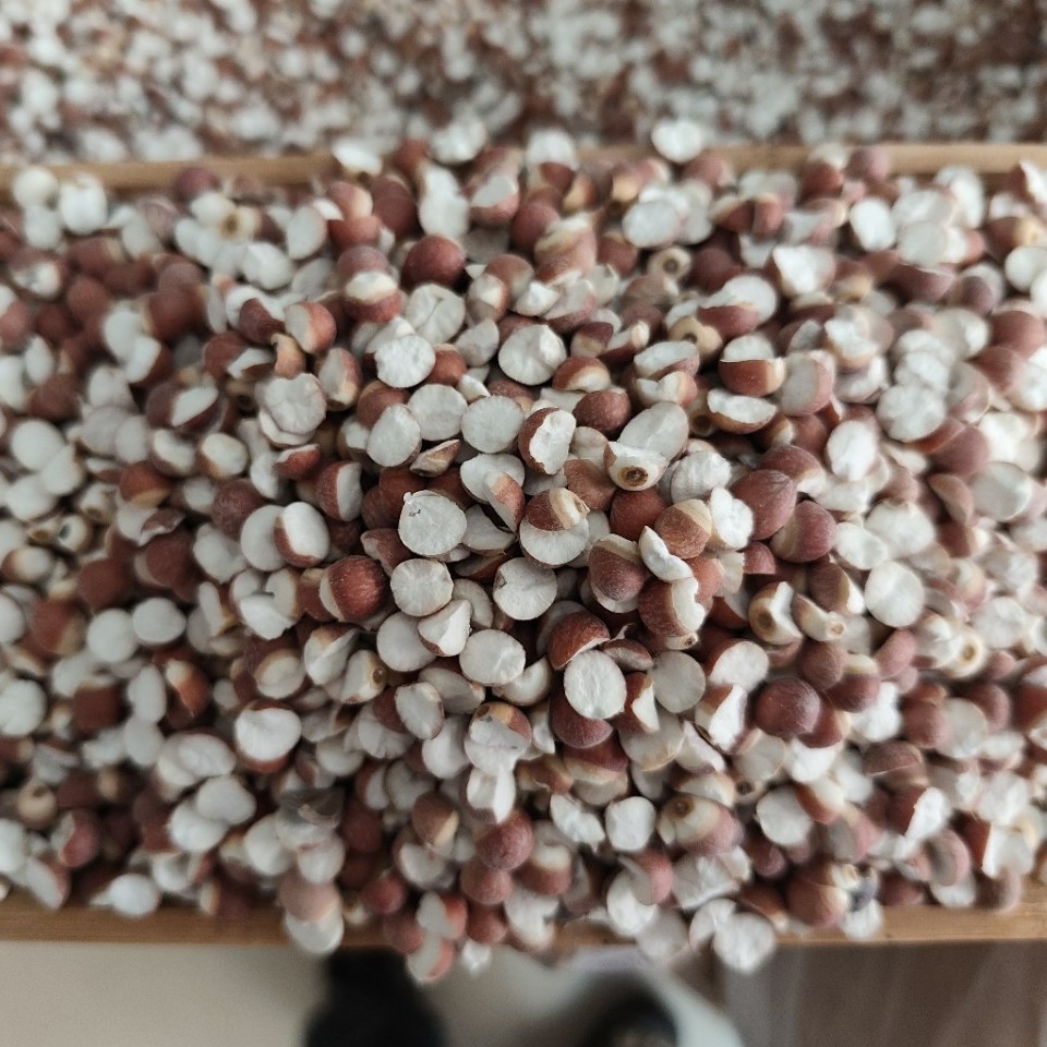 Dried Euryale Seed Qian Shi 芡实 Whole Round Kernels 10mm Grade 1 Herbal Grain for Soup and Congee - Image 3