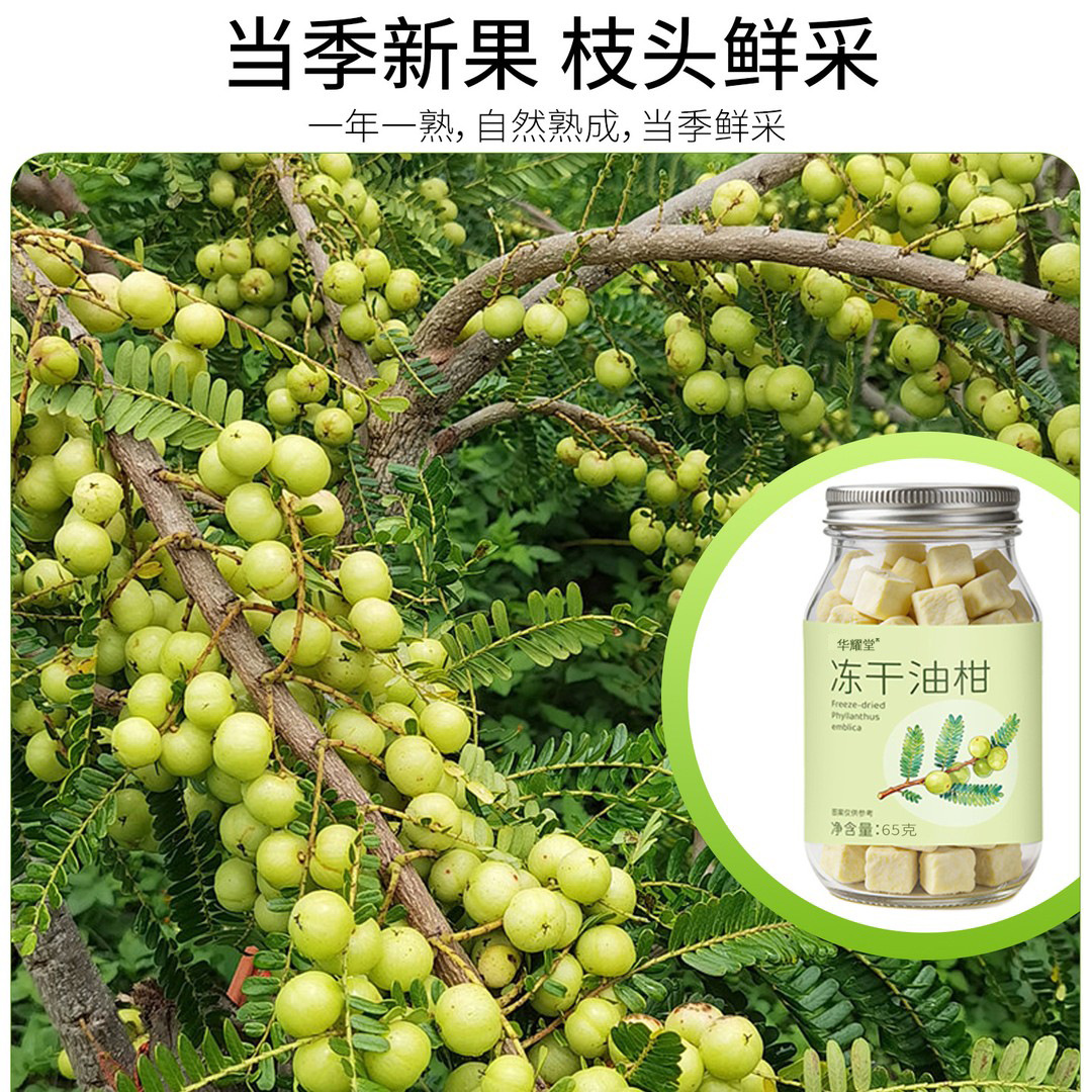 Freeze-Dried Amla Tea Yu Gan Zi Herbal Infusion 65g Canister Sugar-Free Hot Brew - Image 3