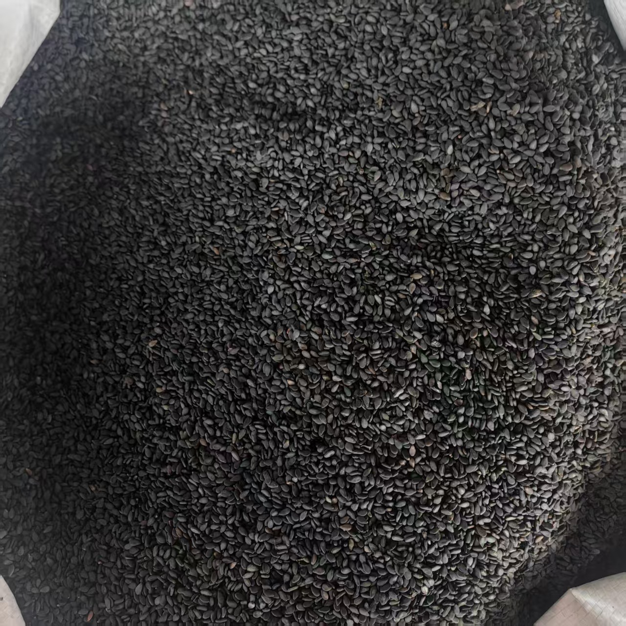 Black Sesame Seeds Hei Zhi Ma 500g Ready to Eat Plump Dried Seeds - Image 3