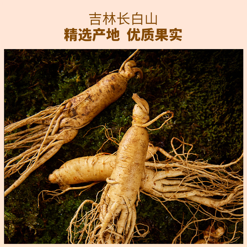 American Ginseng Slices 200g Changbai Mountain Panax quinquefolius Herbal Tea for Parents - Image 2