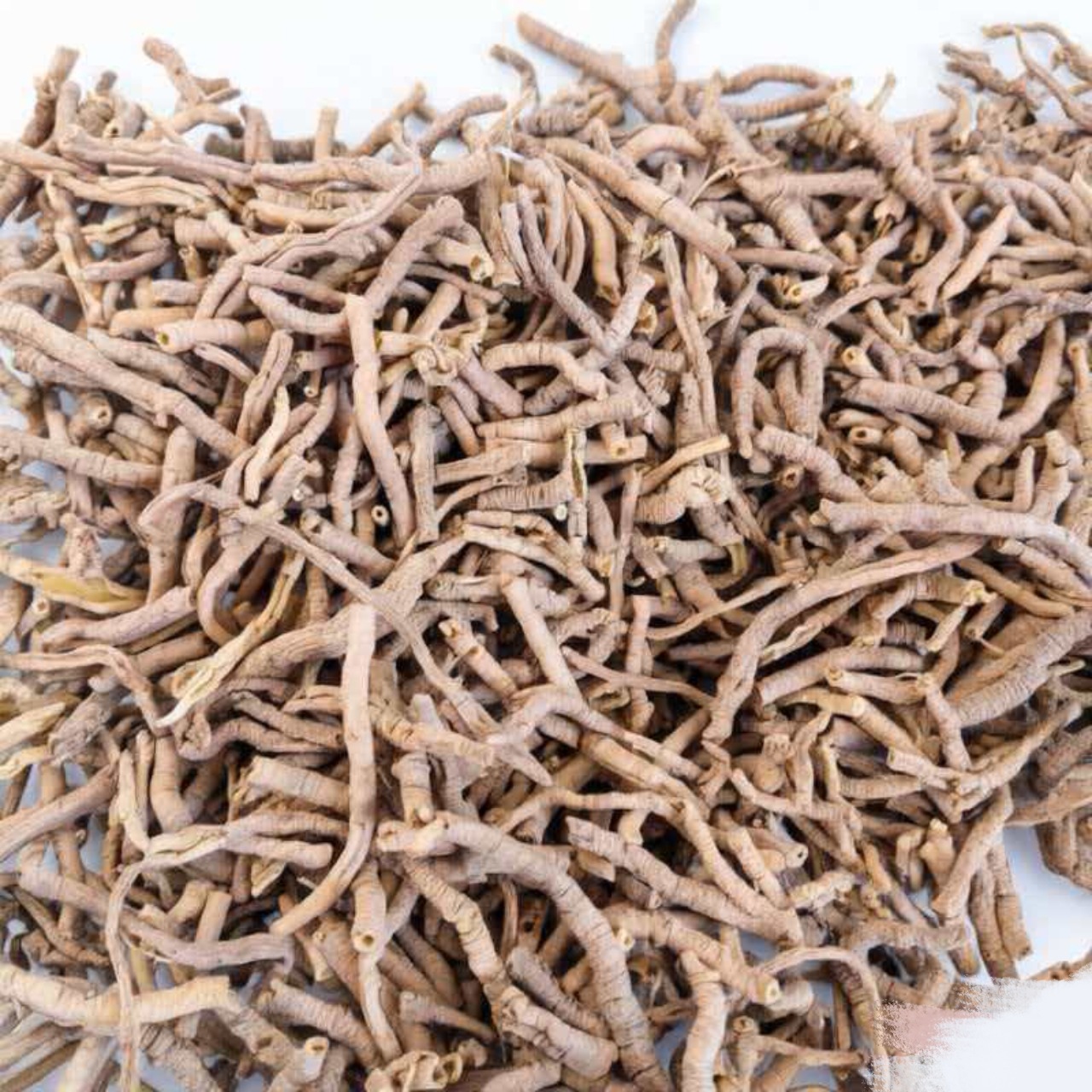 Polygala Root Powder Yuan Zhi 500g Sulfur-Free Dried Herb for Traditional Decoctions - Image 2