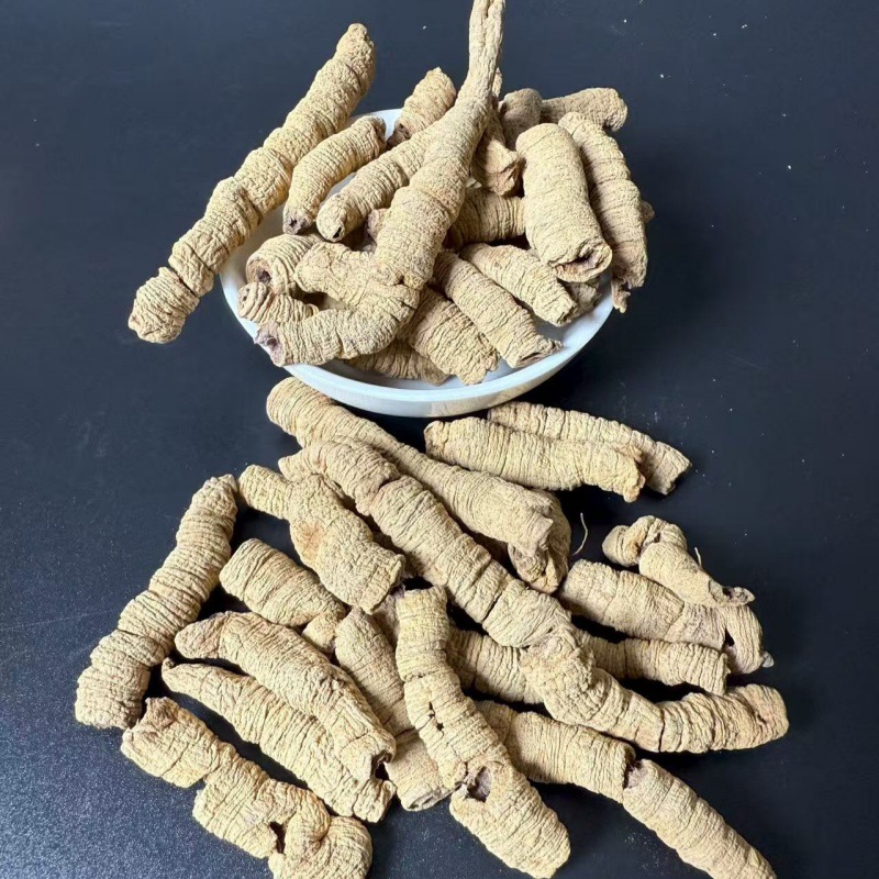 Morinda Root Powder Ba Ji Tian 500g Guangdong Dried Herb for Decoction and Tonic Blends - Image 3