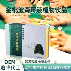 Jin Pi Bo Sen Mei Liquid (Loquat Leaf & Monk Fruit Fermented Botanical Drink) — Food-Herb Enzyme Beverage