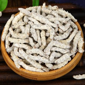 Jiang Can (Bombyx Batryticatus) — Dried White Stiff Silkworm for TCM Decoction & Powder