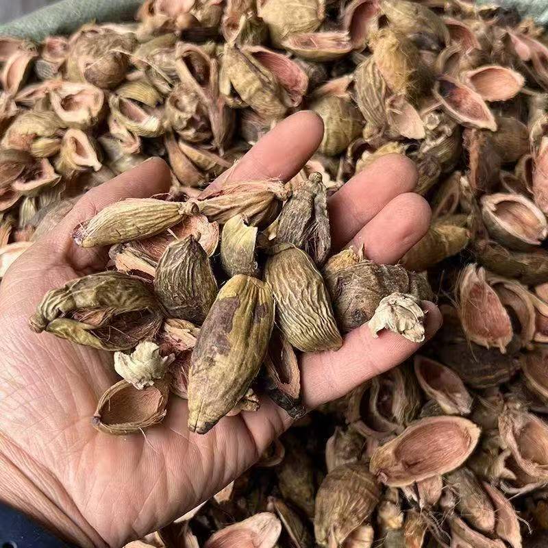 Da Fu Pi (Areca catechu Pericarp) — Dried Food Herb Peel for Tea & Soup, 500g - Image 3