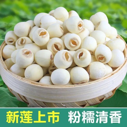 Lotus Seed (Nelumbo nucifera) — Fujian White Lotus Seeds, Core-Removed, Sulfur-Free Dried Food Herb - Image 4