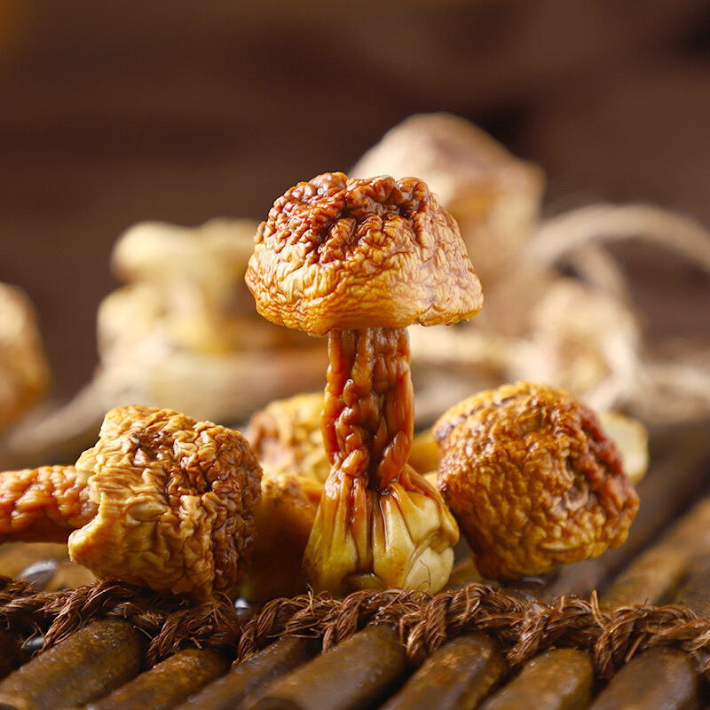 Dried Agaricus Blazei Mushrooms Ji Song Rong 500g Natural Culinary Fungi for Soup Broth and Stews - Image 4