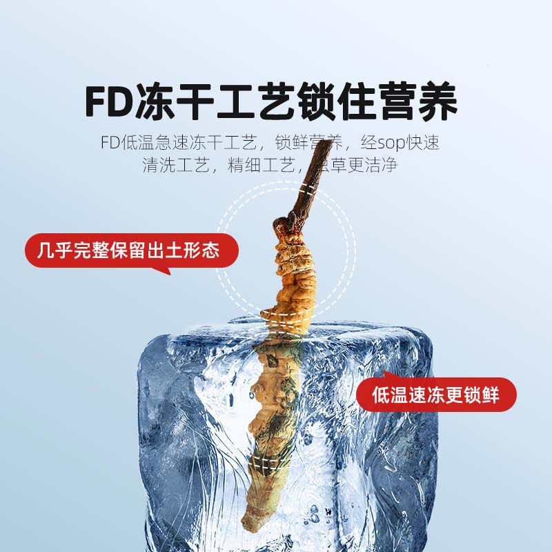Premium Cordyceps Sinensis Dried Herb 1g Box 5 Stems Whole Fruiting Bodies for Traditional Soup and Decoction - Image 5