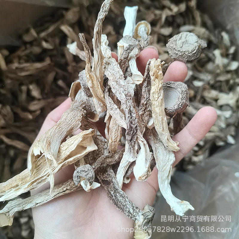 Dried Deer Antler Mushroom 500g Premium Edible Fungus for Soup and Stir Fry - Image 2