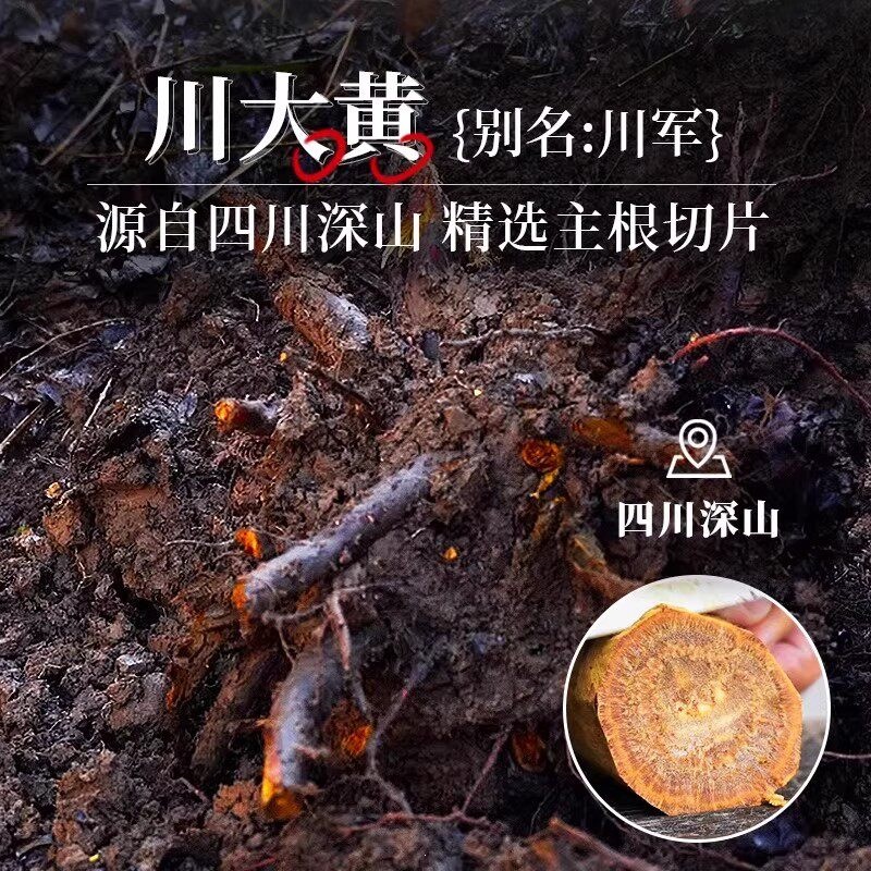 Premium Sichuan Rhubarb Root Slices Da Huang 大黄 500g Dried Chinese Herbal Decoction Pieces - Image 2